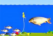 浮漂吃铅量的选择秘诀！不是一漂钓天下，选对才能信号准！