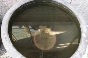 如果不困水,入缸初期的观赏鱼一定会患有下列疾病,而且治无可治