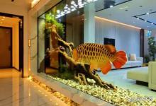 鱼缸水亚硝酸盐高怎么处理?鱼缸大量换水以后亚硝酸盐还是高咋办?