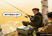 桦尖出鱼别瞎冲！竿长饵料小药窝料，4个问题一次性说透，新手也能稳上鱼