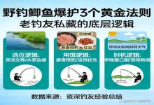 野钓鲫鱼爆护秘籍！老钓友打死不说的3个黄金法则，吃透底层逻辑少走3年弯路