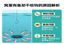 窝里有鱼却不咬钩？6个核心原因 解决办法，新手也能快速破局