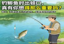 钓鲫鱼时出顿口，真有你想得那么重要吗？90%的人都被误导了