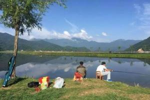 钓鲤鱼抓住这3个关键,做到一点鲤鱼都再不难钓
