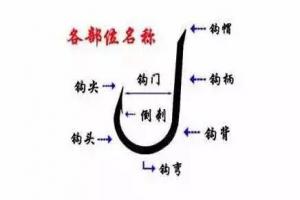 数十万钓友收藏的钓鱼绑钩图解