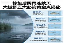 惊蛰后连阴雨？大板鲫全藏在这5个黄金钓点，找准一个就爆护，不空军！