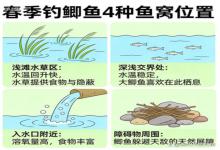 春季钓鲫鱼封神！鱼窝就找这4个位置，大鲫鱼全躲这，不空竿不跑鱼