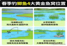 春季钓鲫鱼封神！4种鱼窝位置，大鲫鱼全躲这，找对就爆护