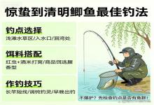惊蛰到清明，鲫鱼这么钓就赢了！不爆护？只能说明水里没鱼