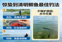 惊蛰到清明钓鲫鱼！这么钓稳赢，不爆护只能说水里没鱼