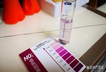 鱼缸亚硝酸盐怎么降下来最快？鱼缸亚硝酸盐太多怎么办？试试它