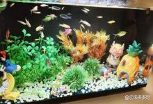 海缸水中亚硝酸盐多少为安全？海缸养鱼亚硝酸盐标准要求是多少？