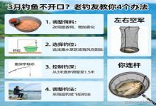 3月钓鱼总不开口？老钓友私藏4个诀窍，避开空军坑，新手也能连杆爆护