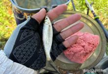 钓浮要怎么调漂？傻瓜式操作，一看就会