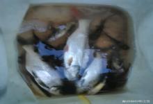 春天钓鱼，测试水里有没有鱼，这3 招就够了，钓鱼前试试看有惊喜！