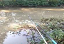 钓草鱼子线要多长？不是越长越好，调整到“这个长度”，中鱼率翻倍还不搭桥