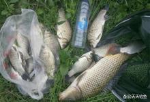 野钓爆护指南：各种鱼最佳垂钓时机和钓法，爆护很轻松