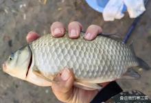 19调像钢筋，46调像面条？鱼竿软硬咋选？记住一句话就够了，以后买竿不求人！