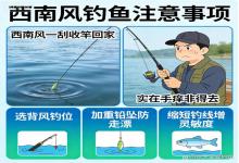 西南风一刮就收竿？实在手痒别硬扛！这3点记牢，不空军、过足瘾