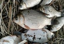 别傻了！野钓打频率不是越快越好，我踩过的坑你千万别再踩