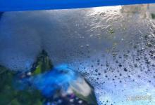 溪流缸水面泡沫多、腥臭怎么回事？溪流缸水面有很多小气泡怎么解决？