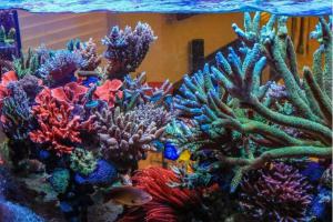 遇到这十种情况，说明你该换缸了，最后一条笑喷了