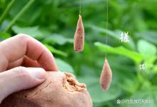 有些商品饵不好用的根本原因