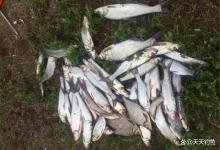野钓大翘嘴，4种钓法都好使，未必一定要远投