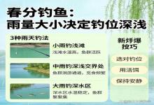 春分钓鱼别瞎选位！雨量大小定深浅，3种雨天钓法，新手也能爆护