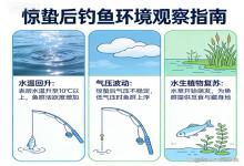 惊蛰后鱼好钓？别盲目下杆！先看这3个环境变化，不然白跑一趟