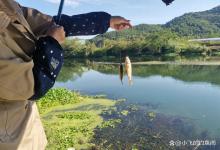 野钓鲫鱼子线多长才对？90%的钓友没想过