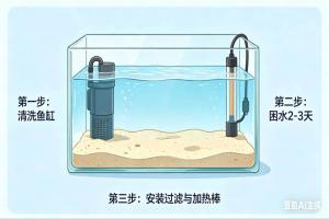 孔雀鱼开缸零失败!鱼食养菌+绿水速成,新手不花冤枉钱