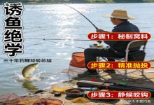 钓了三十年鲤鱼，我就只服这诱鱼绝学，用一次就过足瘾
