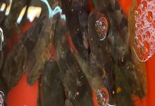 中华沙塘鳢是什么鱼？