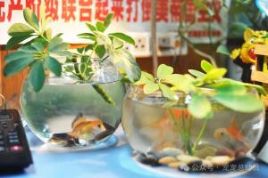 新手养鱼避坑指南：先养活再养漂亮，这份保姆级攻略请收好！