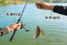 春钓鲫鲤新玩法！不用浮漂也能爆护，野钓老手都在偷偷用
