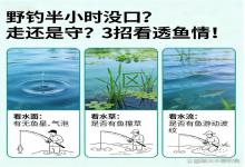 野钓半小时没口？别瞎走也别死守！3招看透鱼情，再也不纠结