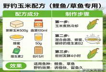 野钓鲤草封神！我试了100次的玉米配方，新手也能轻松爆护