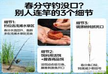 春分守钓一整天没口？别人连竿爆护，差别就藏在这3个细节里！