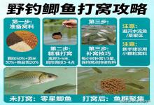野钓鲫鱼打窝别瞎撒！这样做聚鱼快、留鱼久，新手也能爆护