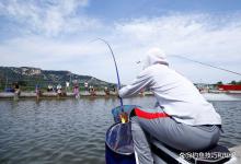 选择黑坑鲤鱼正钓场次的4个技巧