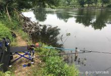 5月之后野钓，这些钓位全部“作废”，白给也不要