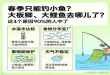 春季只钓得到小杂鱼？大板鲫、大鲤鱼藏哪了？4个坑90%的人都踩了