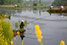 春末钓大鱼别再盲目下竿！记住“三钓两不钓”法则