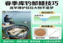 春季库钓鲢鳙技巧献上！连竿爆护狂拉大物不是梦，新手完成自己爆护梦