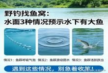 别急着收竿！野钓水面出现这3种情况，水下必藏大鱼，一钓一个准