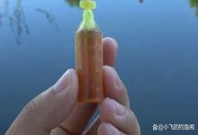 盘点那些不会死窝的“添加剂”，你家里就有，加多也不驱鱼