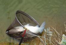 钓鱼人的“第六感”是怎么来的？培养这4个观察习惯，你也能有