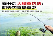 春分后大鲫鱼全钻草！扔掉悬坠双钩，朝天钩直捣黄龙，连竿爆护