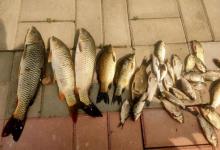 钓无定律，灵活变通才是王道！这4个变通思路，让你渔获大增